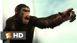 Rise of the Planet of the Apes (2011) - Battle for the Bridge Scene (4/5) | Movieclips