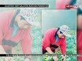 Download SONA: Cabbage man" sumisikat na rin sa social media kagaya ni "Carrot man" In Mp4 3Gp Full HD Video