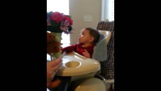 Avery S Get Well Flowers