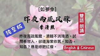 English Version《如夢令·昨夜雨疏風驟》❤️ 【純享版】英文/中文雙語朗誦。❤️知否知否應是綠肥紅瘦！