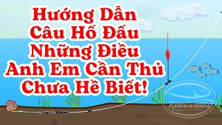 Hướng Dẫn Câu Hố Đấu - Kỹ Thuật Câu Thần Kỳ và Những Điều Anh Em Cần Thủ Chưa Hề Biết