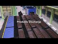 dasp processing line system