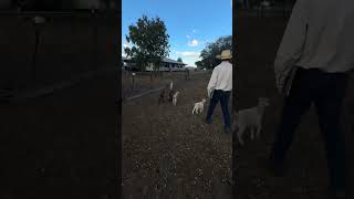 On Farm Visit in Rural Queensland