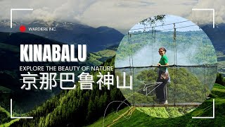 【马来西亚Sabah】京那巴鲁国家公园：雨雾缭绕，神山隐现未得见 Kinabalu Park: Rain and fog and the sacred mountain not visible