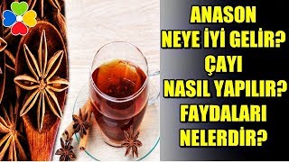 Anason Bitkisi Neye İyi Gelir? Çayı Nasıl Yapılır?