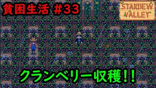 【Stardew Valley】今日の貧困生活 #33 ついにすごい稼げる日が；；【1年目秋6～7日目】