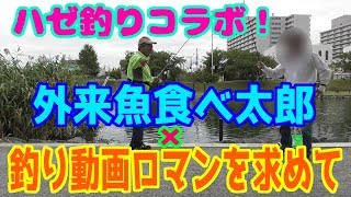 釣り動画ロマンを求めて　コラボ7釣目（外来魚食べ太郎 さん）in「旧中川」