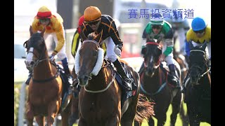 賽馬投資-18/1/2020 第六場貼士 HK Horse Racing Tips R6