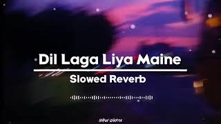 Dil Laga Liya Maine [Slowed N Reverb] Song | Udit Narayan , Alka Yagnik | #dilhaideewana