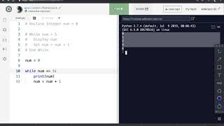 09 while loop (python)