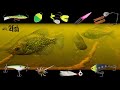 6 Proven Panfish Setups You Need to Use | UNDERWATER Footage