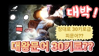 Octopus in Korea 1미터 깊이 동해 대왕문어!30키로 피문어? 사이즈 대박!🙂고성 속초 해루질(22년2월)(catch 30kg Monster Giant Octopus)