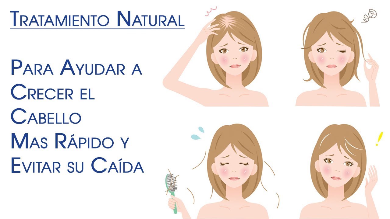 Introducir 69+ Imagen Recetas Para Hacer Nacer Nuevo Cabello - Abzlocal.mx