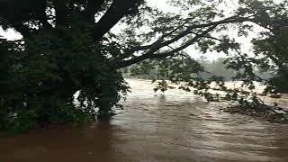 Dandeli old dandeli - Bailpar bridge got overflow during non stop rain.