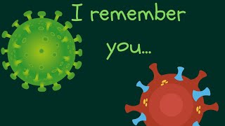 How Your Immune System Remembers Past Illnesses