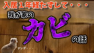 [我が家のカビのお話]　住友林業で家を建てました