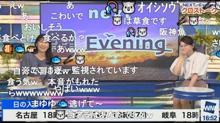 【駒木結衣・魚住茉由】🐨🐟っ「🐟🥢🐨鯉美味しそう～♪(ニコ生コメ有り)」