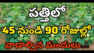 Pest management in Cotton during the first 45 to 90 days | పత్తిలో 45-90 రోజుల్లో వాడాల్సిన మందులు |