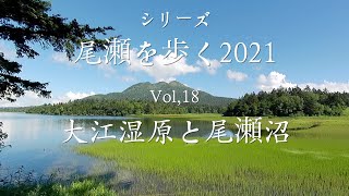 シリーズ・尾瀬を歩く2021　Vol,18　大江湿原と尾瀬沼