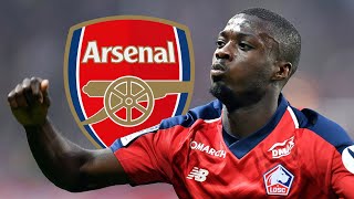 Nicolas Pepe 2018-19 • Welcome To Arsenal • BEST Goals, Assists, Skills • [HD]