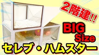 特大サイズ‼️２階が出来ました‼️セレブハムスターのお家😂豪邸ハウスを作ってみた🌟【DIY】