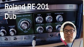 Roland RE-201 Dub