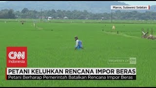 Petani Keluhkan Rencana Impor Beras