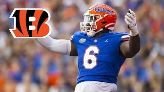 Zachary Carter Highlights | Welcome to the Cincinnati Bengals 🔥