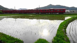 30秒の心象風景19232・朝日に光る水田を～103系4両編成～