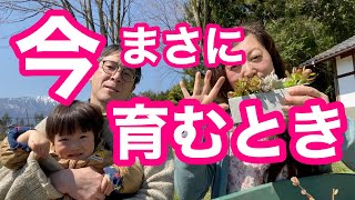 【大切なこと】今、まさに育むときだと思います【ツインレイ夫婦の人生の歩き方】