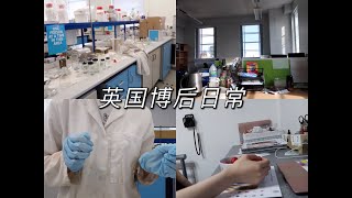 英国利兹大学博后的日常 I 做实验 I 处理数据 I 晚上休闲时光 I