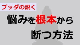 苦悩の根元を断ち切る仏教【ブッダの教え】.