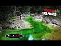 FLY TV - Sight Fly Fishing in the Alps 🇦🇹