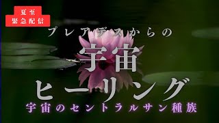 宇宙のセントラル種族と繋がる〜プレアデスからの宇宙ヒーリング〜