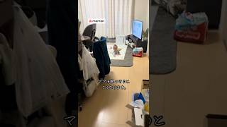 ママを見つけたときの飛行機ポーズがかわいすぎる🤣　#shorts #赤ちゃん