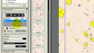 Leica LAS Image Analysis Sequence Steps