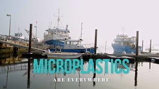 Microplastics are Everywhere | UConn