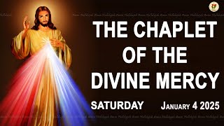 Chaplet of the Divine Mercy I Saturday January 4 2025 I Divine Mercy Prayer I 12.00 PM