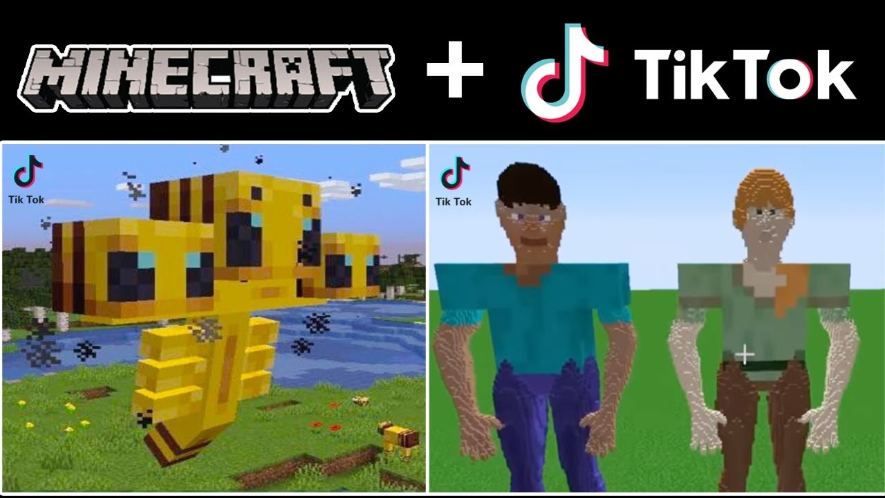 The Best Funniest Tik Tok Minecraft Videos Compilation Part 5