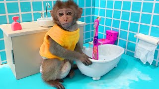 Little Monkey Bo Bo Brush Teeth Morning In The Toilet