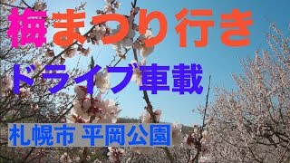 平岡公園梅まつりまでドライブタイムラプス