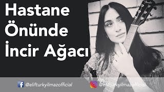 Elif Türkyılmaz - Hastane Önünde İncir Ağacı