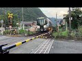 jr limited express hida hc85 railroad crossing video jr 通過 踏切 高山本線 特急ひだ hc85