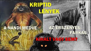 LÉTEZETT VAGY SEM? KIHALT VAGY SEM? REJTÉLYES KRIPTID LÉNYEK ( A NANDI MEDVE, ERSZÉNYESFARKAS) 122.E