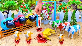 WADIDAU ‼️ proses potong sapi kurban | kerbau | new cow vlog | new cow video 68 | AJ toys