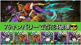 【ランク1700】76キンバリー原作版ループで百花繚乱4を破壊していきましょう😎【パズドラ】【ストリートファイター】