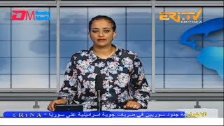 Arabic Evening News for November 20, 2022 - ERi-TV, Eritrea