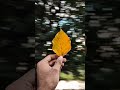 try this creative photography with your phone 💡📱 easy trick youtubeshorts photography