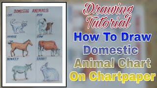 How To Draw Domestic Animal Chart/ Drawing Tutorial.