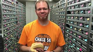 Ball Python Morphs #6 Toffees and Toffinos!